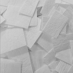 Picture for category Membranes
