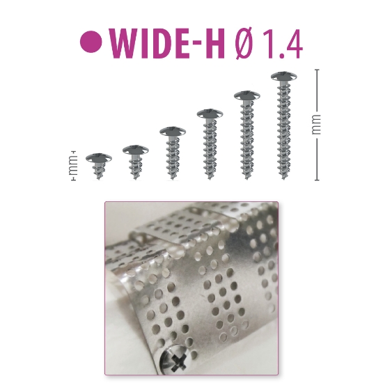 Picture of WIDE-H Ø1.4 - Wide Head Titanium Screws