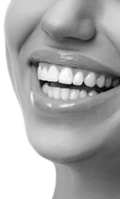 Picture for category Periodontal Health