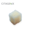 Picture of PentOS OI™ Sponge