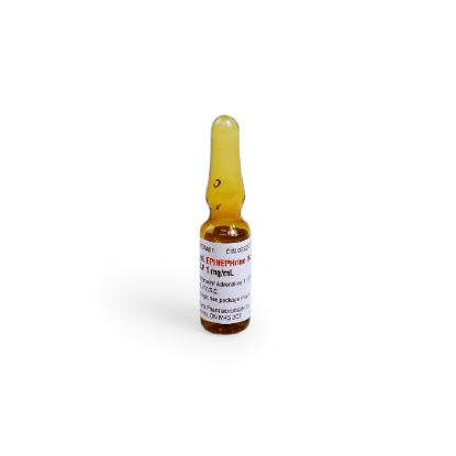 Show details for Epinephrine (1:1000), 1ml amp, 1x1ml/Box Picture of Epinephrine (1:1000), 1ml amp, 1x1ml/Box