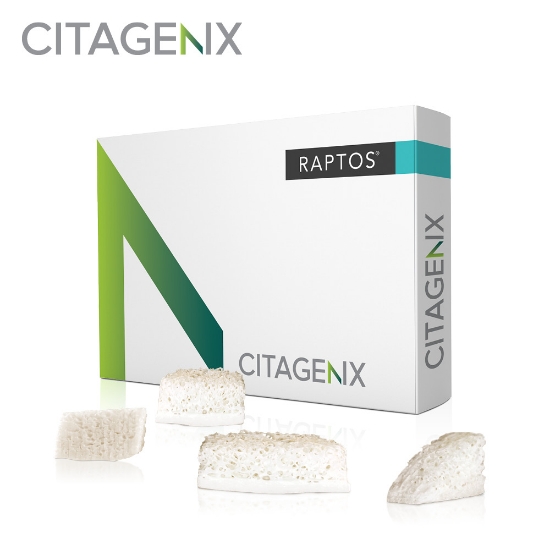 Picture of Raptos® Bone Blocks